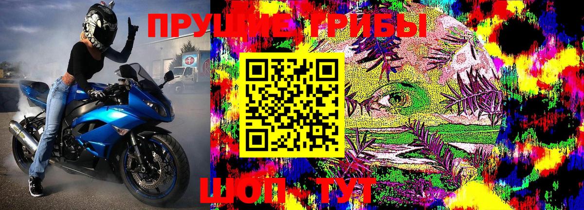 Галлюциногенные грибы Psilocybine cubensis Оренбург